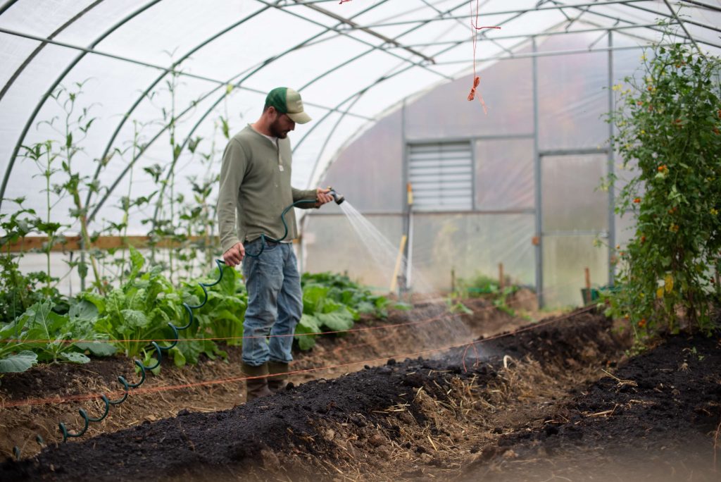 avoiding-overwatering