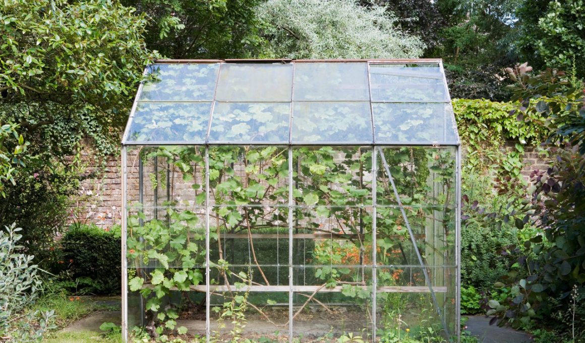 best-indoor-greenhouses