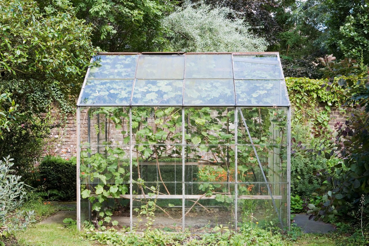 9 Best Indoor Greenhouses for Backyards or Balconies Greenhouse Adviser