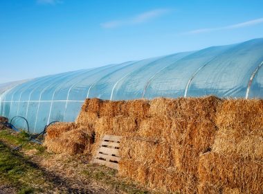 best-plastic-greenhouses