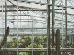 do-greenhouses-block-uv-light