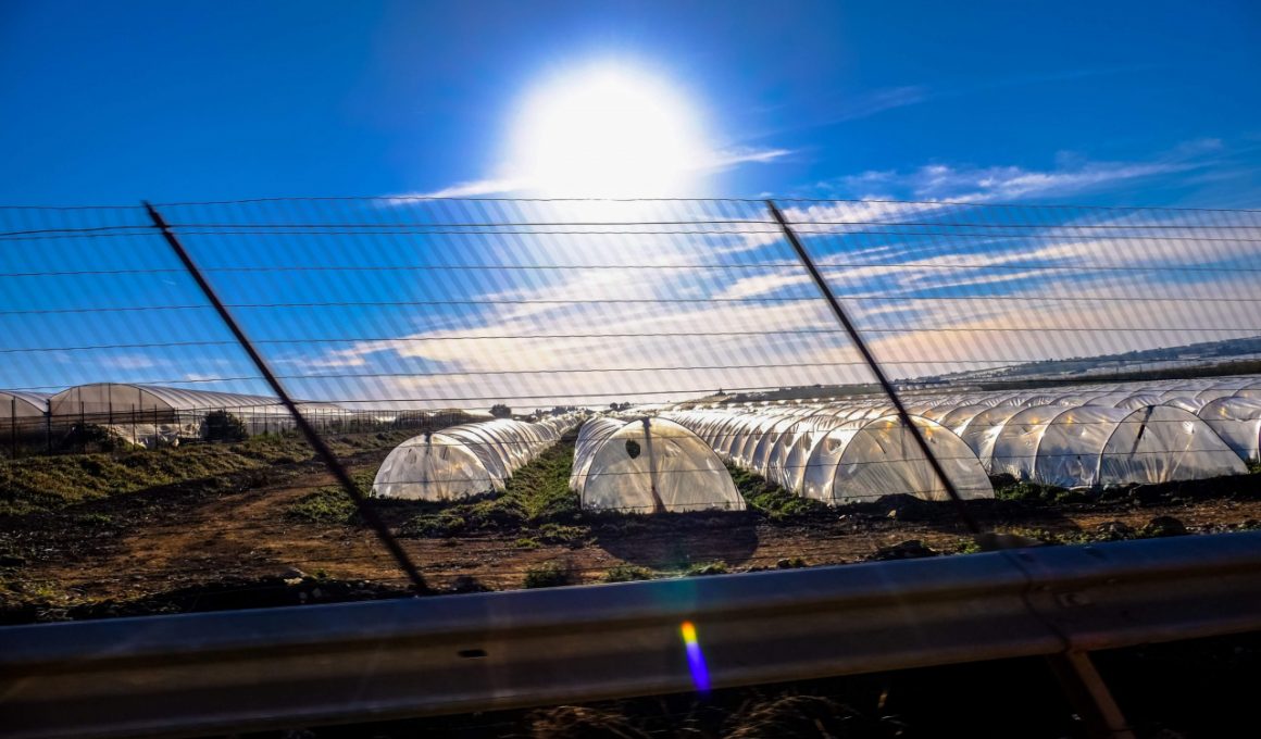 does-a-greenhouse-need-to-be-in-the-sun