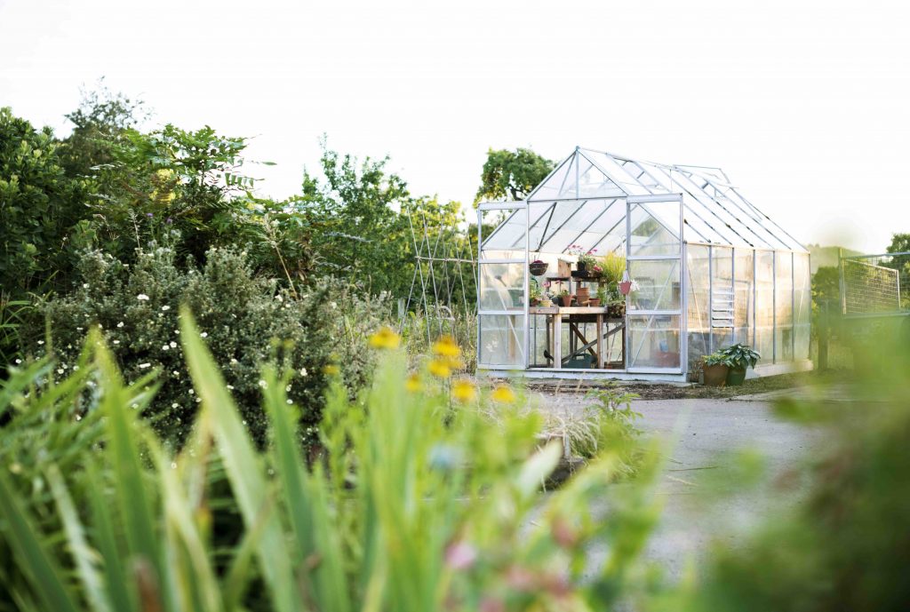 where-to-place-your-greenhouse-and-why-it-matters