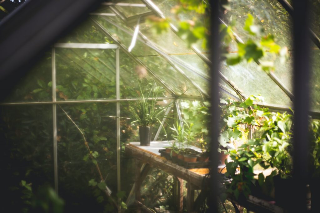 why-do-greenhouses-need-heat