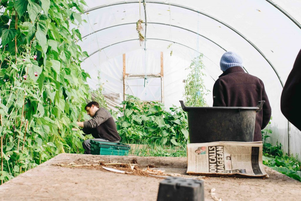 why-would-some-gardeners-choose-to-block-uv-light