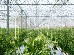 will-a-greenhouse-stay-warm-in-winter