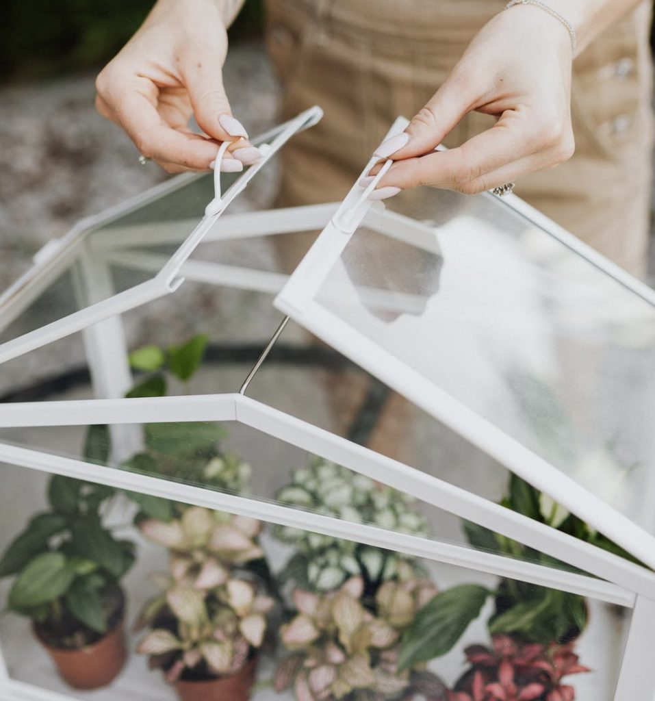 diy-indoor-greenhouse