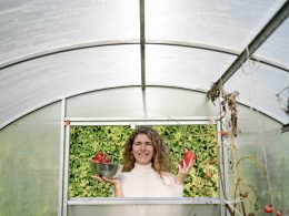 portable-greenhouses-all-you-need-to-know