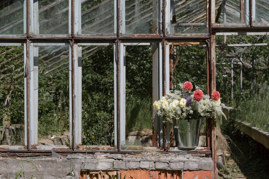 The-History-of-Greenhouses