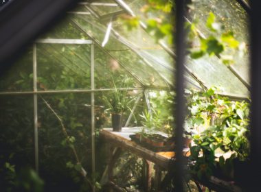 how-to-install-and-adjust-an-automatic-greenhouse-vent-opener