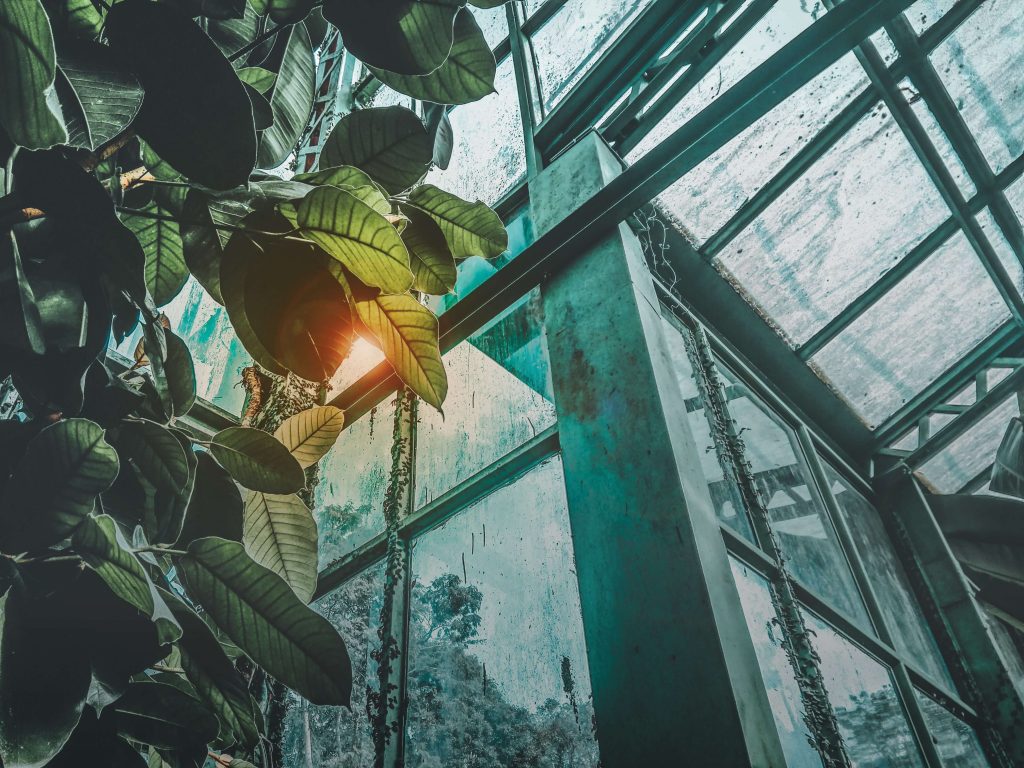 will-your-greenhouse-keep-your-plants-from-freezing